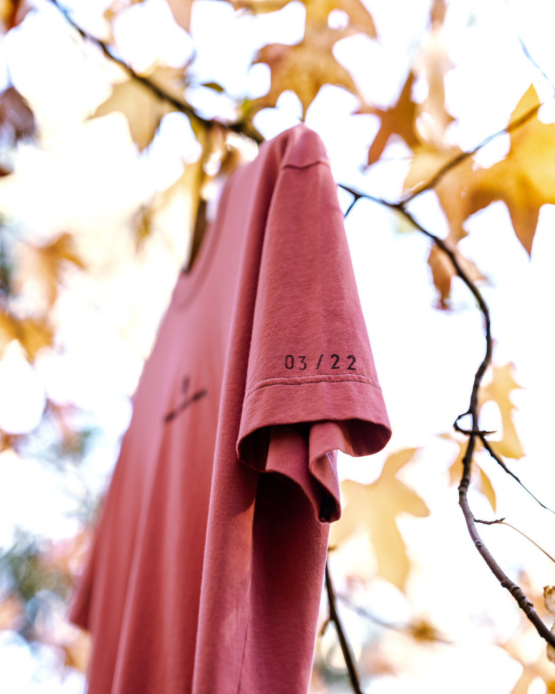 Canyon Rose T-shirt (One of 22)